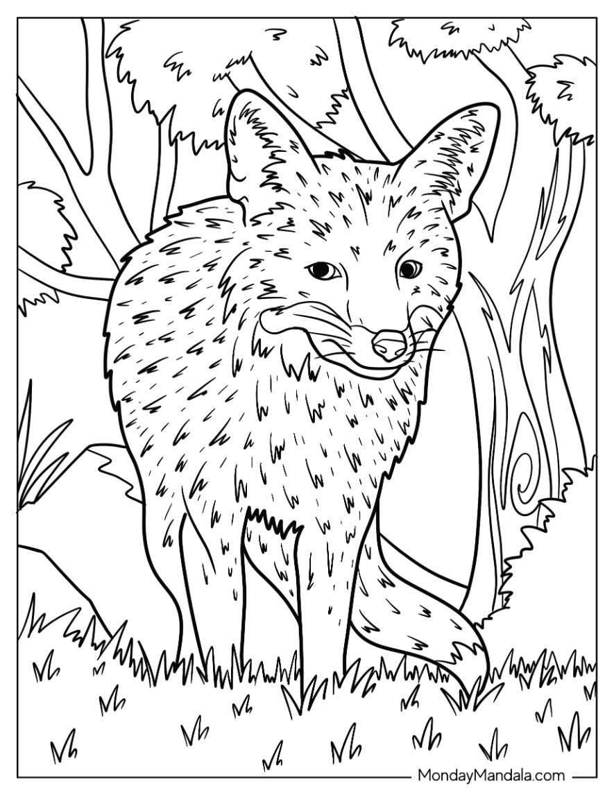 Fox coloring pages free pdf printables