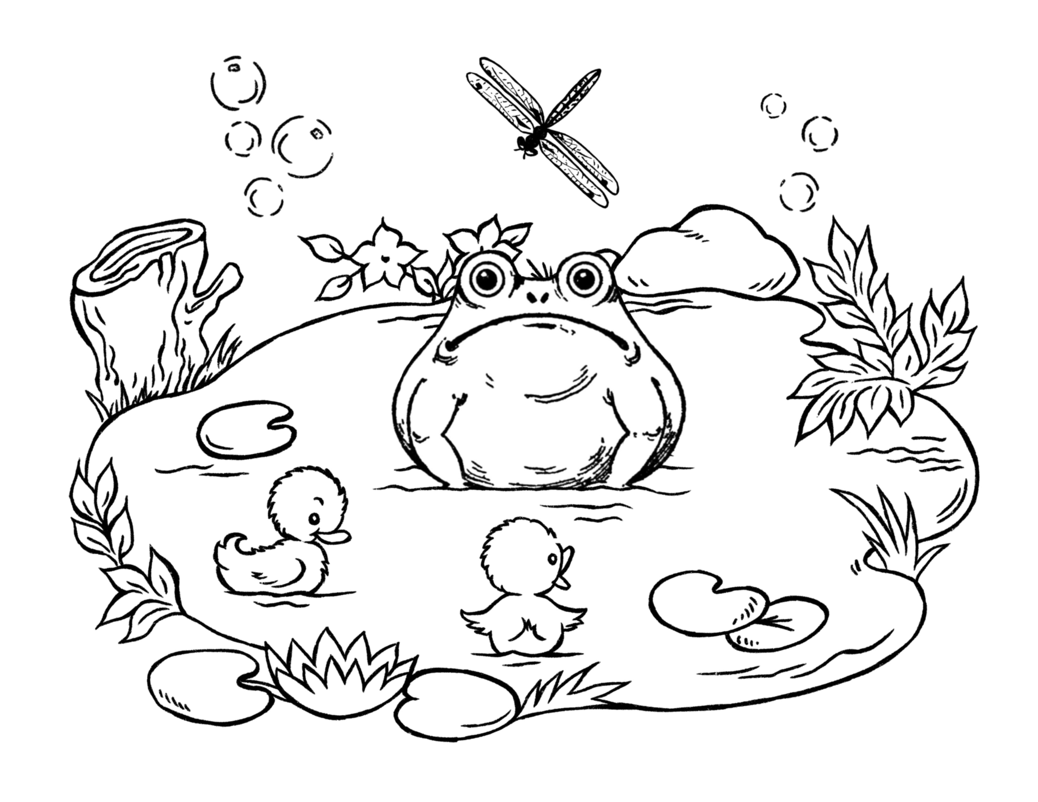 Frog coloring pages