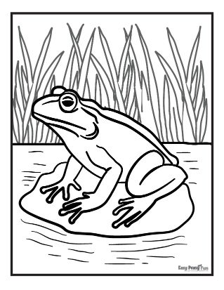 Frog coloring pages â printable coloring pages