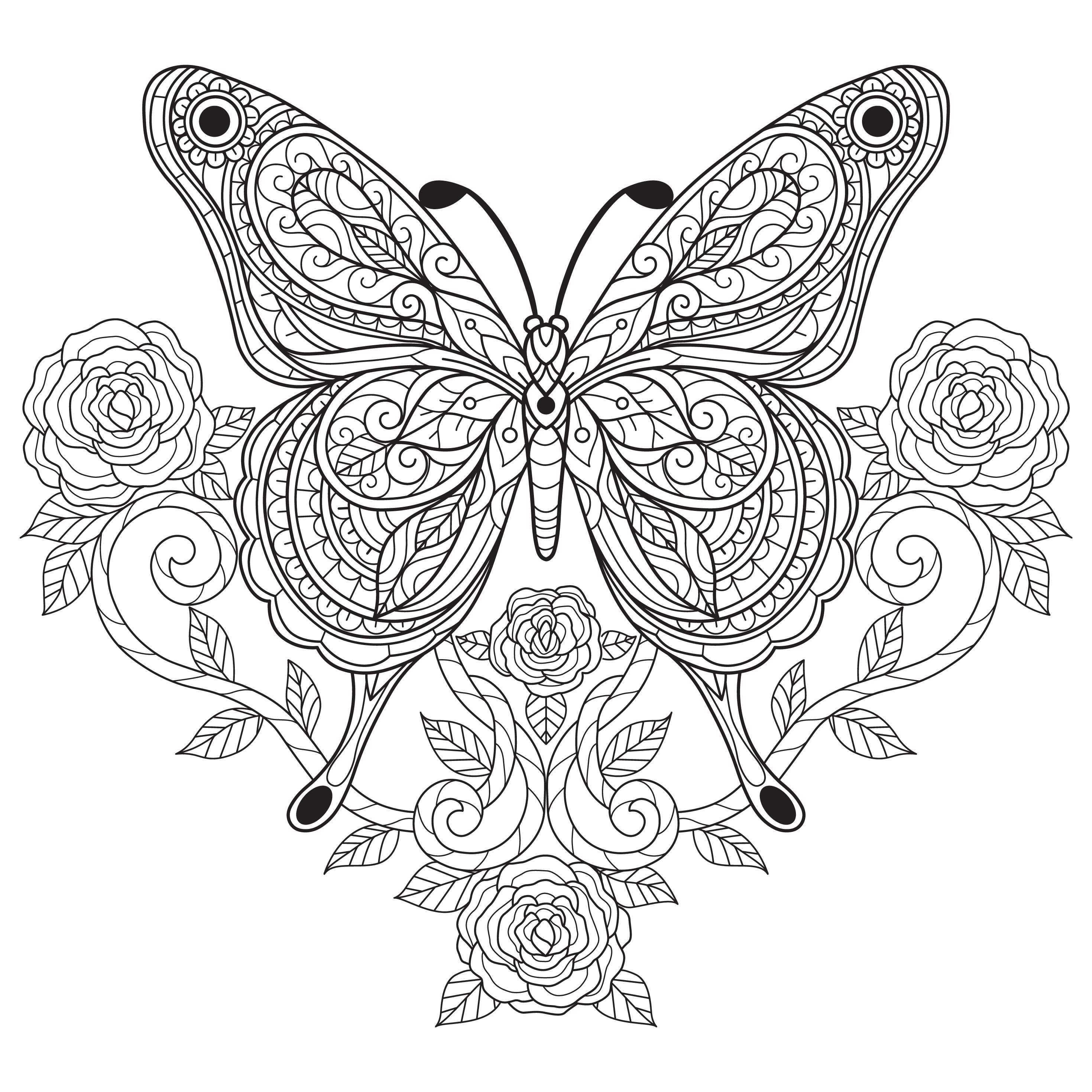 Digital printable beautiful butterfly coloring pages easy difficulty details pages