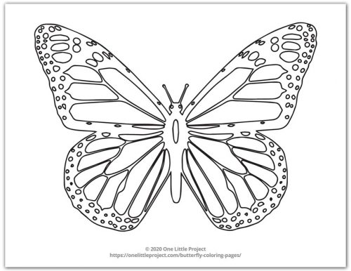 Butterfly coloring pages free printable butterflies