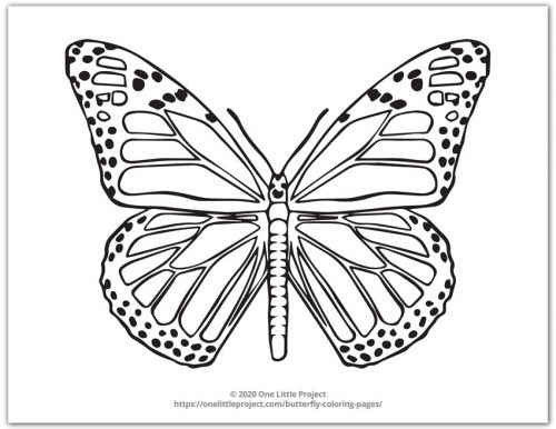 Butterfly coloring pages free printable butterflies