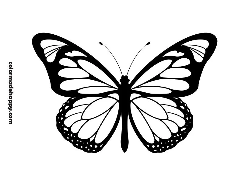 Printable butterfly outline templates