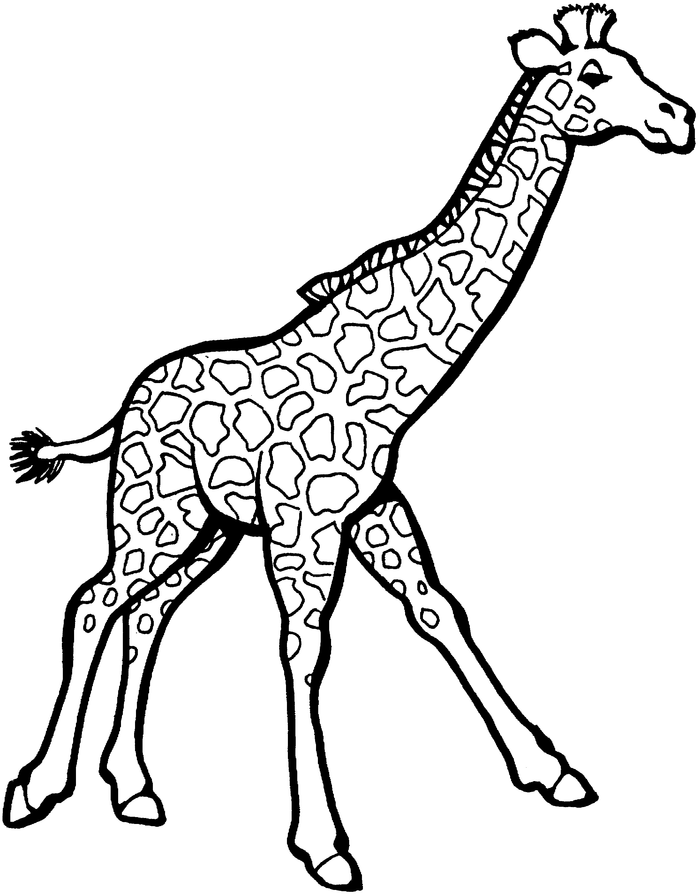 Free printable giraffe coloring pages for kids