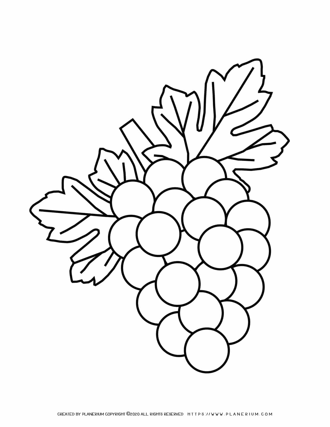 Grapes