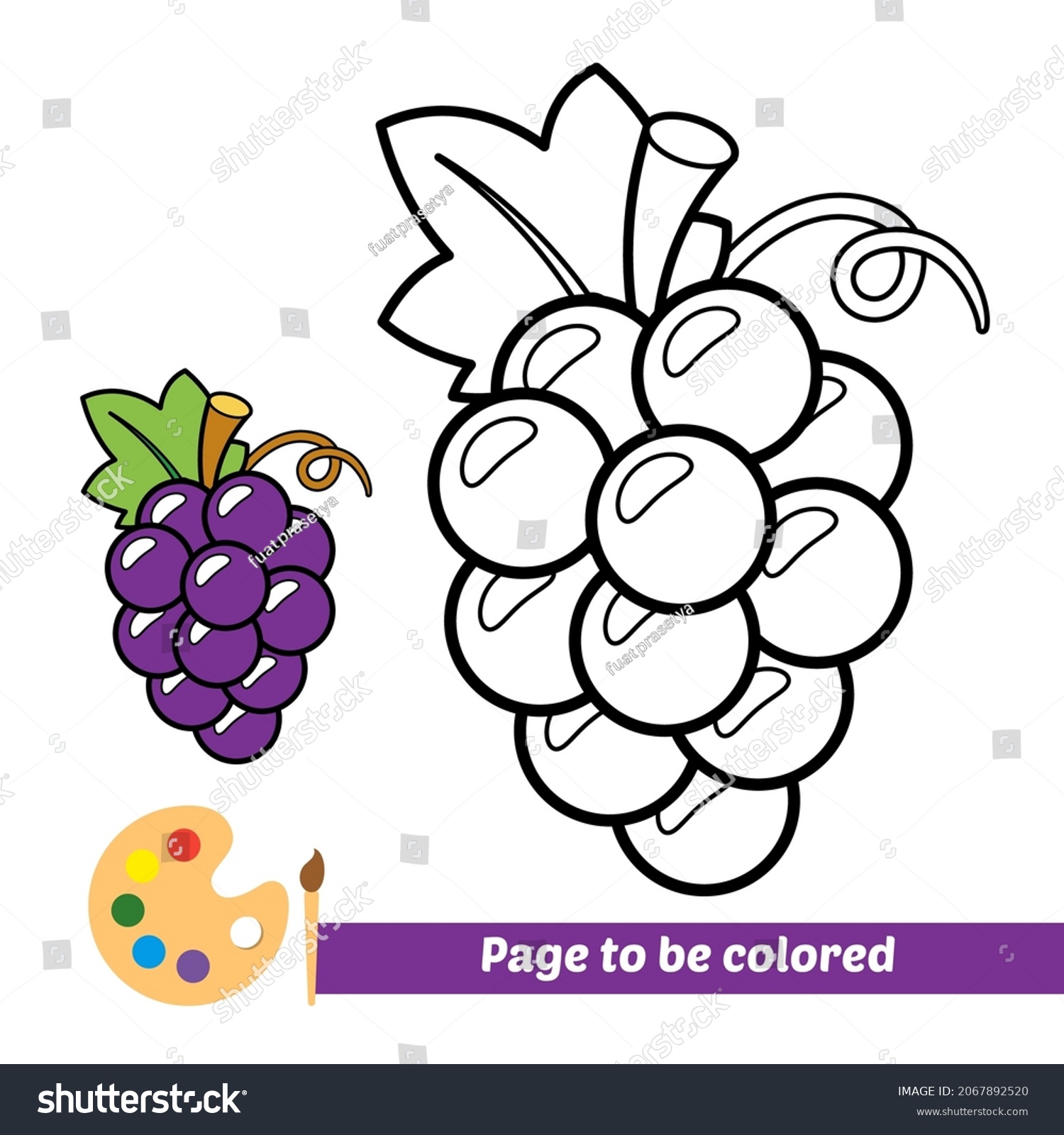 Coloring book kids grapes vector stock vector royalty free