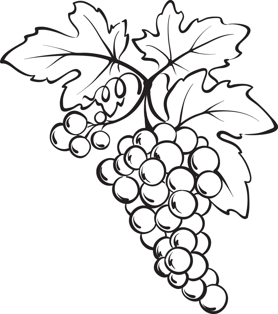 Printable bunch of grapes coloring page â