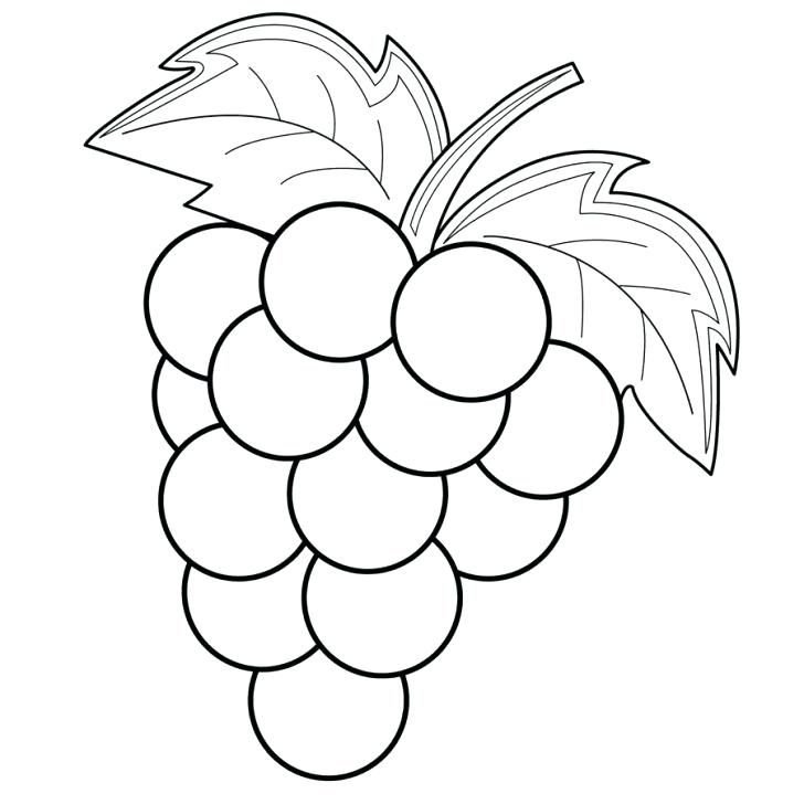 Grapes coloring page printable for free download