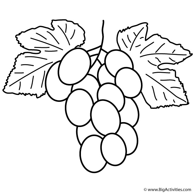 Bunch of grapes