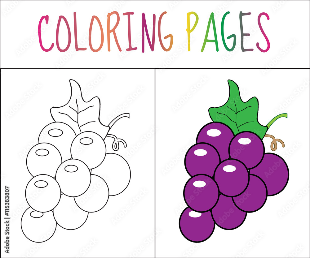 Coloring book page grapes sketch and color version coloring for kids vector illustration vector