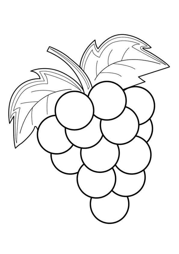 Coloring pages bunch of grapes coloring page