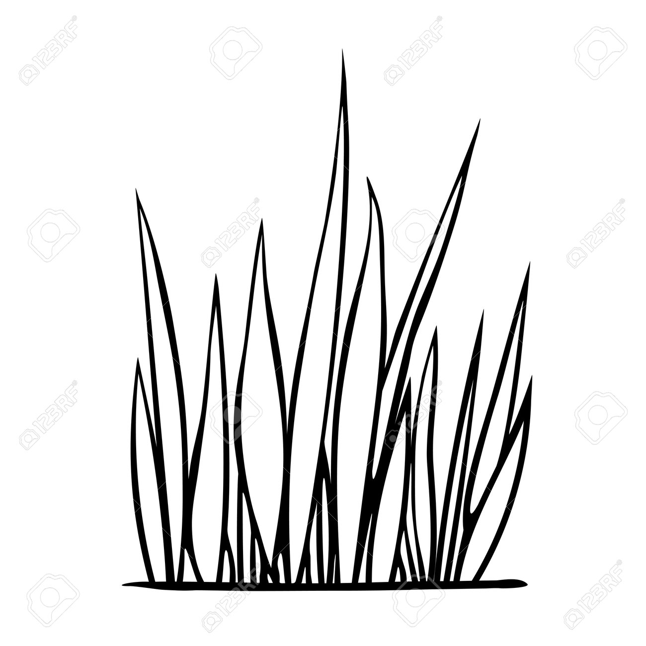 A bunch of grass hand drawn simple black outline vector illustration in doodle style isolated on white background natural design element clip art for decoration on nature theme coloring page royalty free