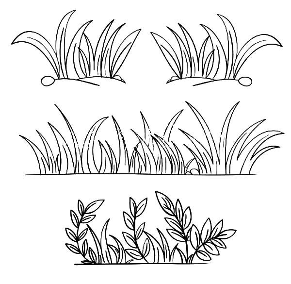 Grass grass grow so well coloring pages grass drawing outline drawings drawings