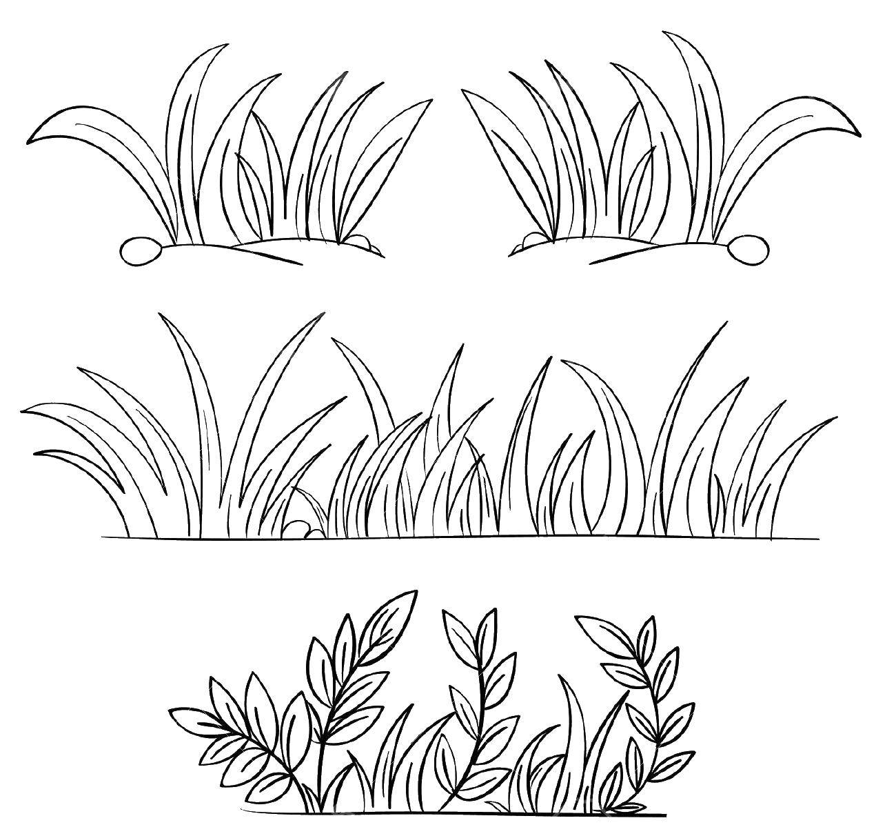 Online coloring pages coloring grass coloring