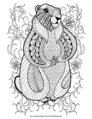 Zentangle groundhog coloring page â free printable pdf from
