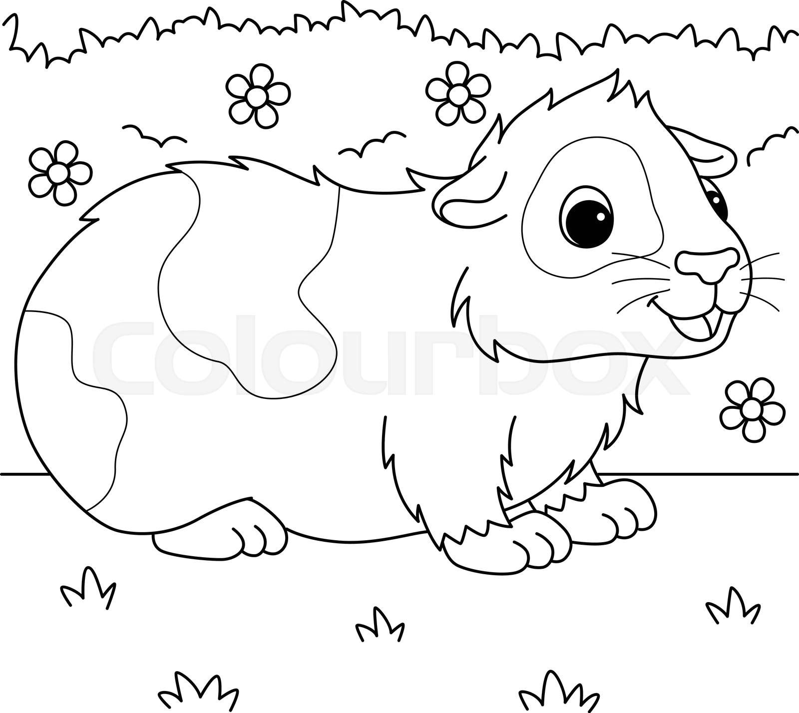 Guinea pig animal coloring page for kids stock vector