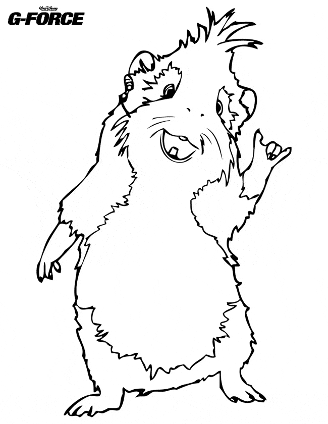 Guinea pig coloring page