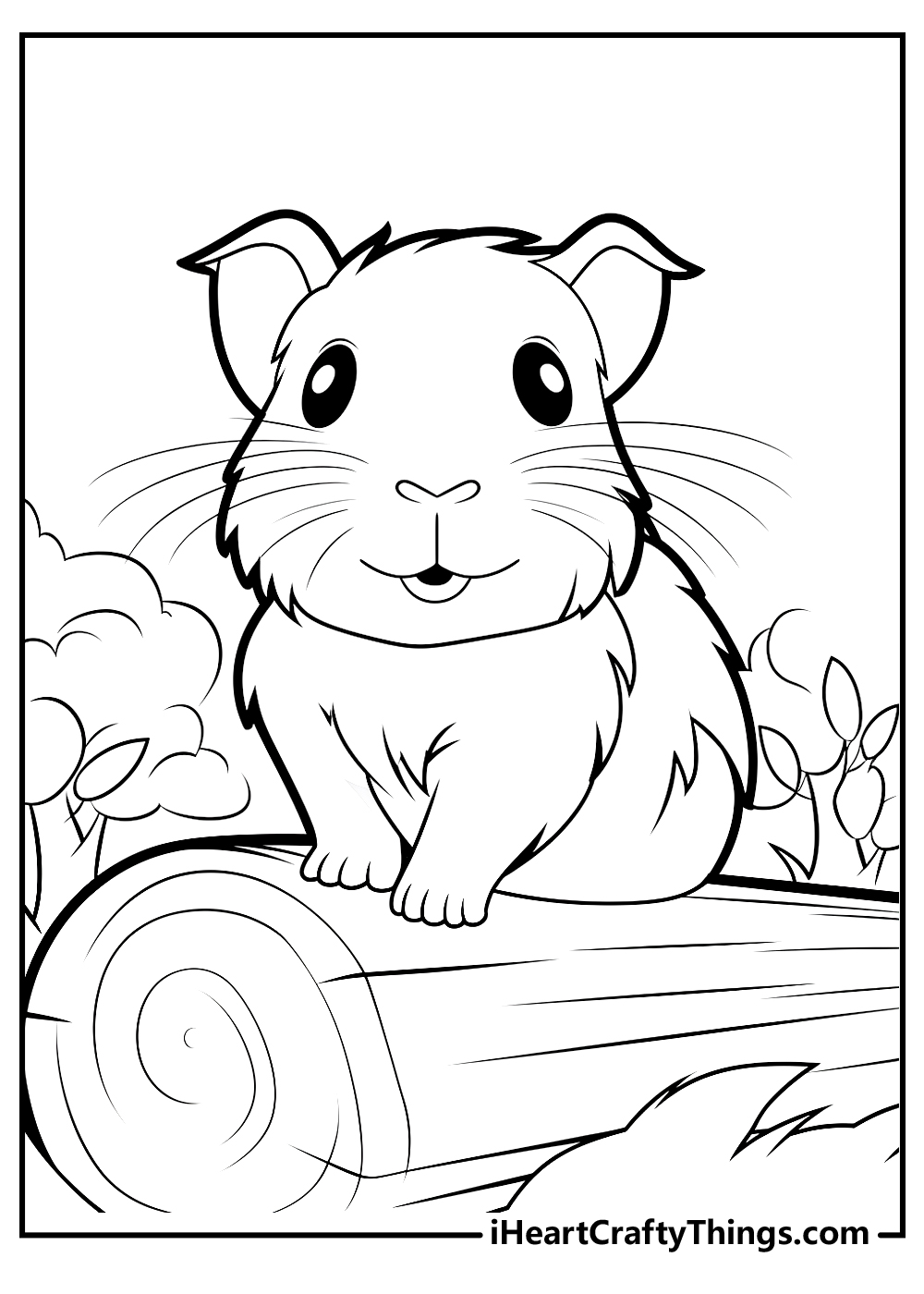 Guinea pig coloring pages free printables