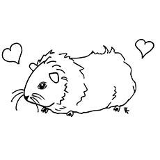 Top free printable guinea pig coloring pages online guinea pigs cute guinea pigs pet guinea pigs