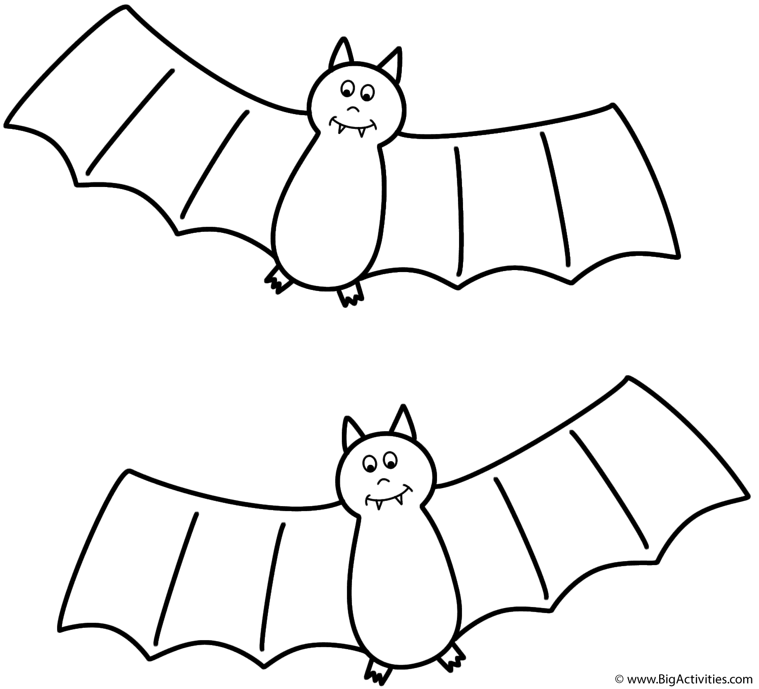 Bats