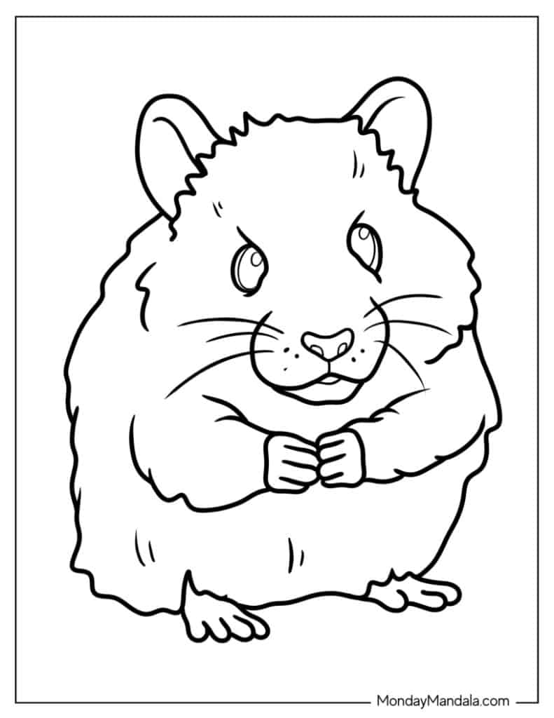 Hamster coloring pages free pdf printables