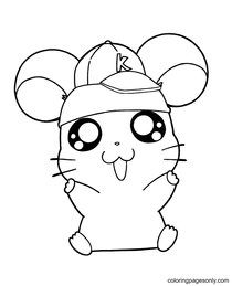 Hamster squirrel and hummingbird coloring page which coloring page will your children like best