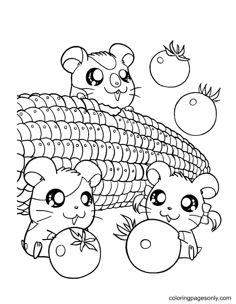 Hamster coloring pages printable for free download