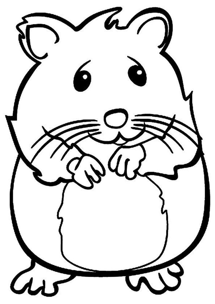 Cute hamster coloring pages pdf printable