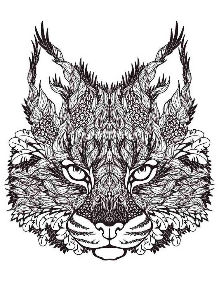 Lynx coloring pages for adults