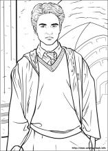 Harry potter coloring pages on coloring