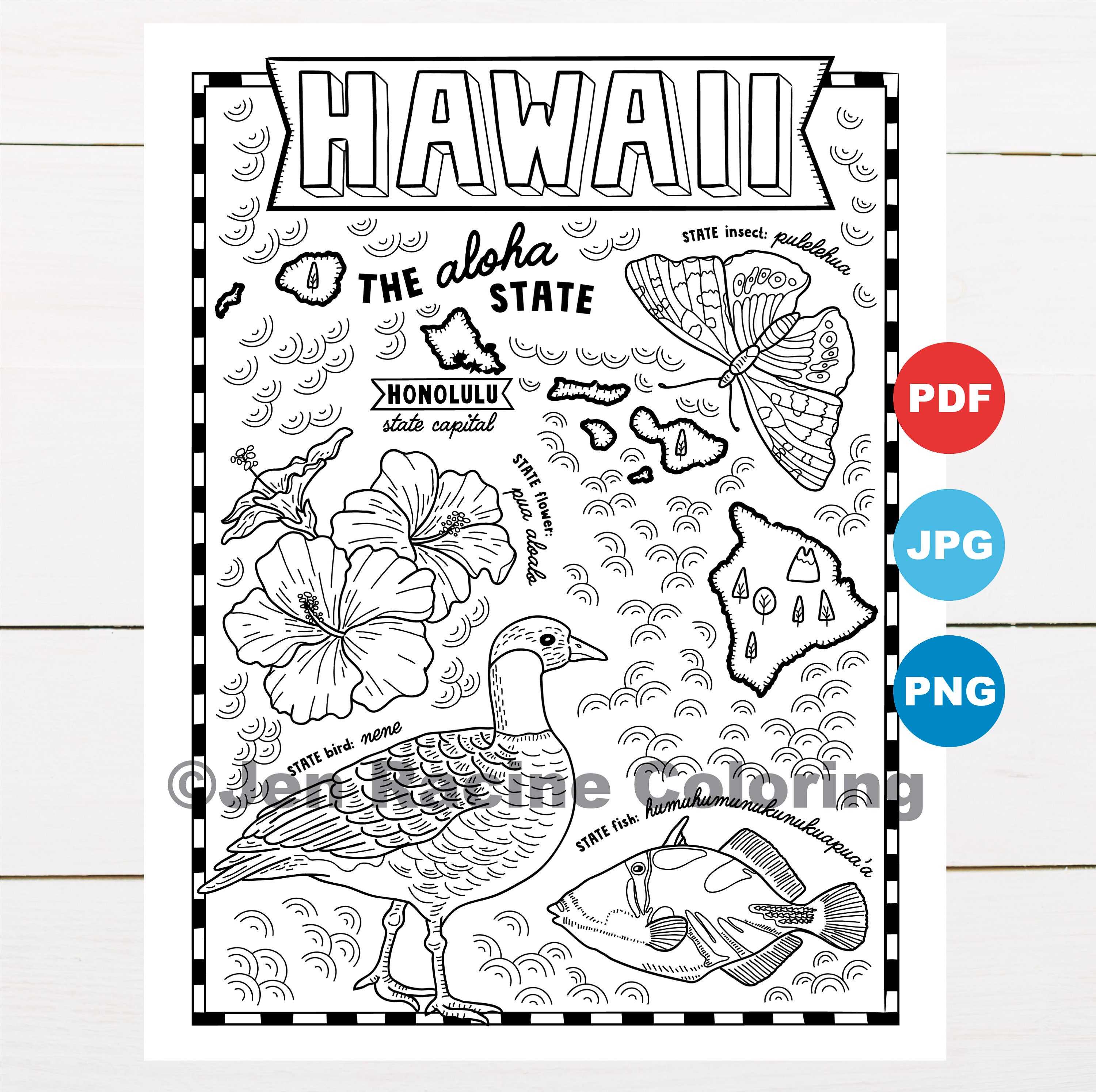 Hawaii coloring page united states state map wildlife