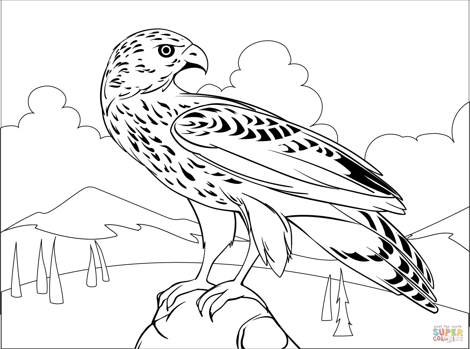 Hawk coloring page free printable coloring pages