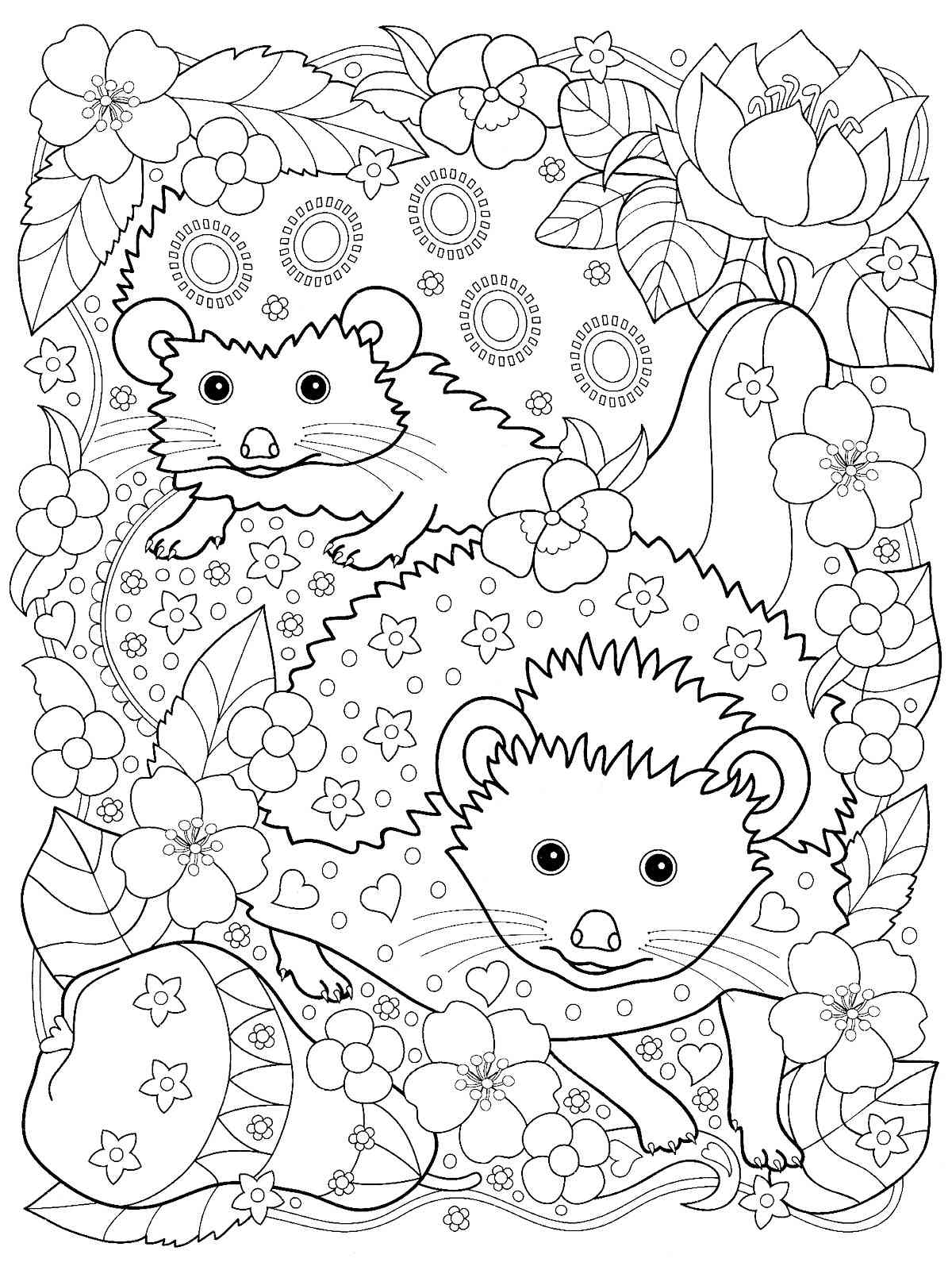 Hedgehog coloring pages for adults