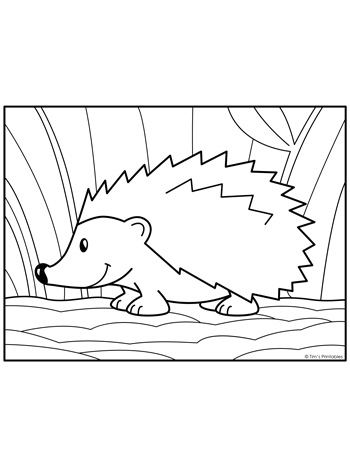 Hedgehog coloring page â tims printables