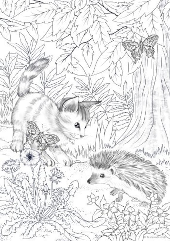 Cat and hedgehog printable adult coloring page from favoreads coloring book pages for adults and kids coloring sheets coloring designs