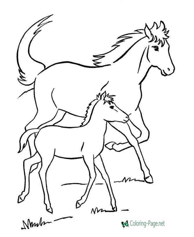 Horse coloring pages