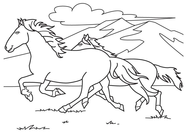 Free printable horse coloring pages for kids horse coloring pages adult coloring pages cute coloring pages