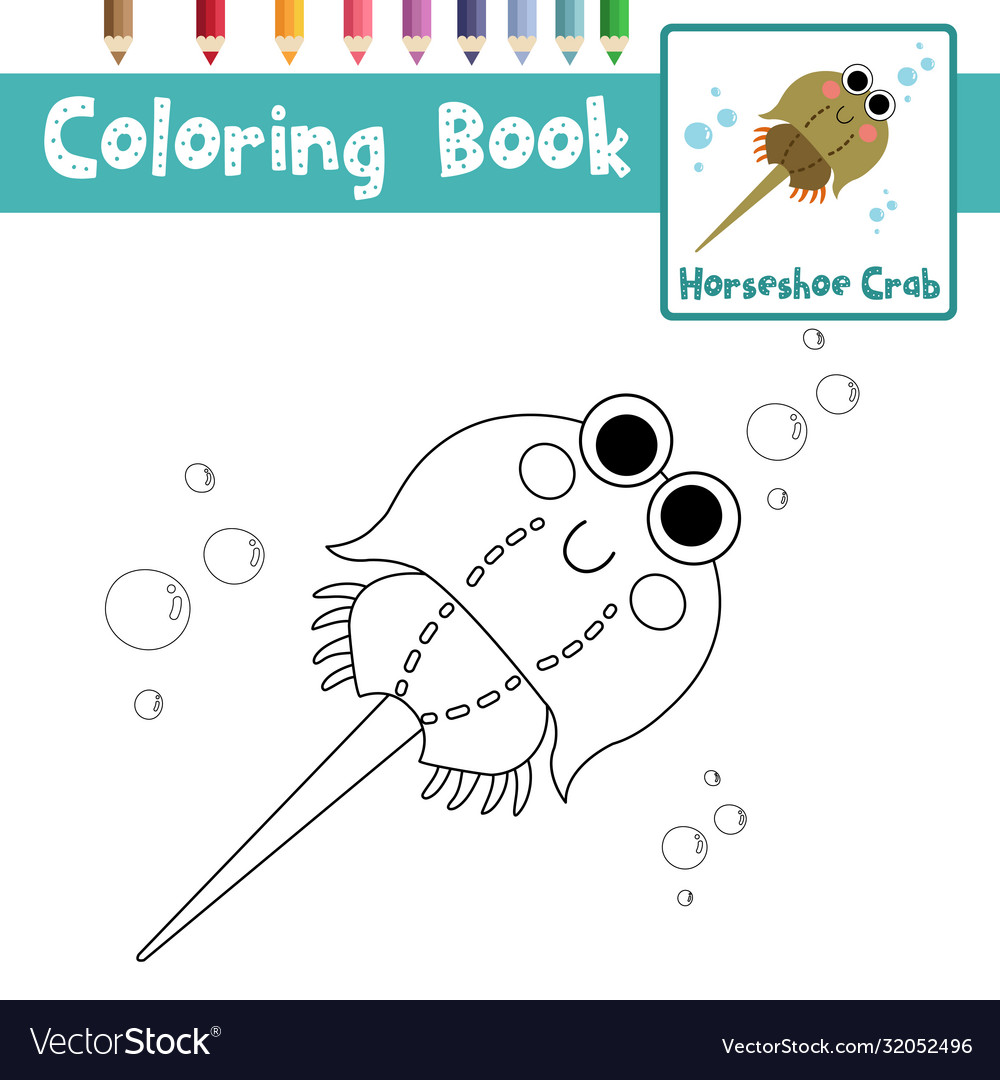 Coloring page horseshoe crab animal cartoon vector image