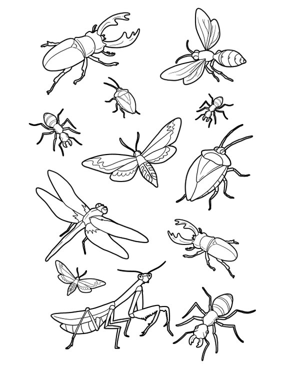 Bug coloring page bugs and insects printable digital download cute bugs art activity