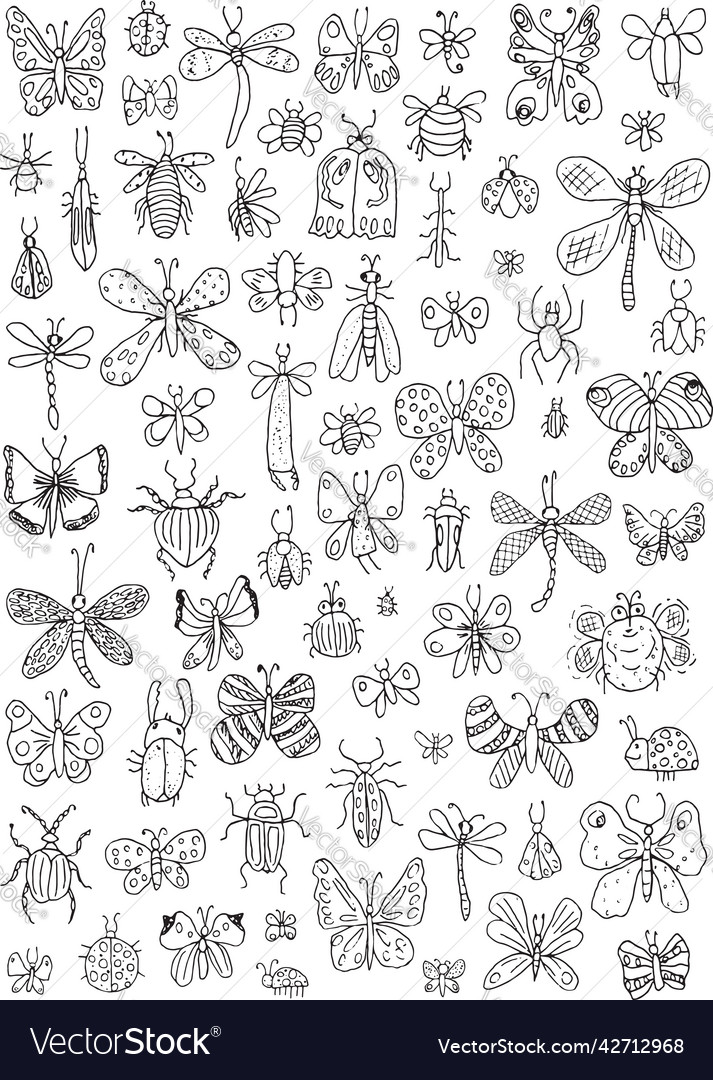 Insects coloring page royalty free vector image