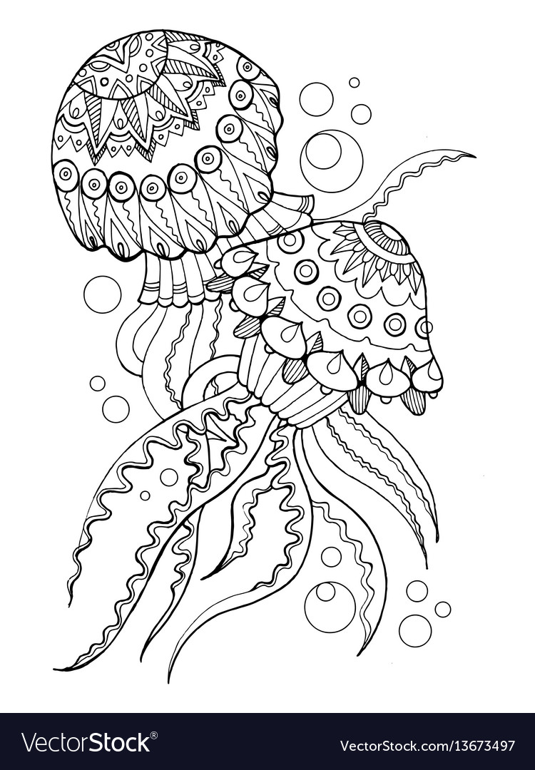 Jellyfish coloring book royalty free vector image