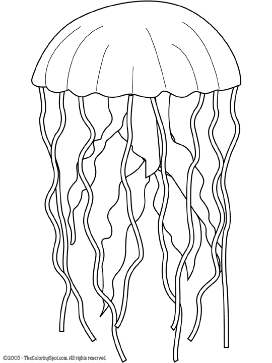 Jellyfish coloring page audio stories for kids free coloring pages colouring printables