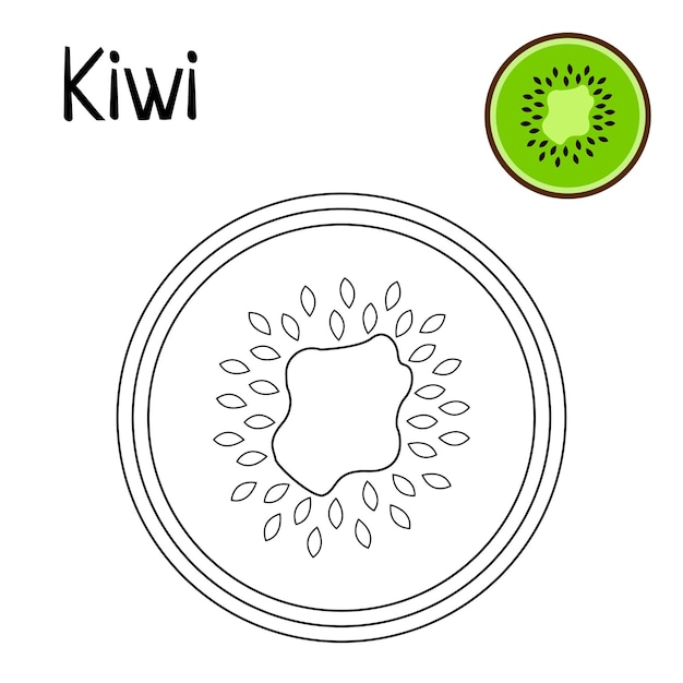 Premium vector kiwi coloring page