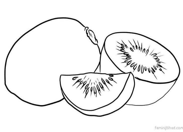 Printable kiwi coloring pages pdf