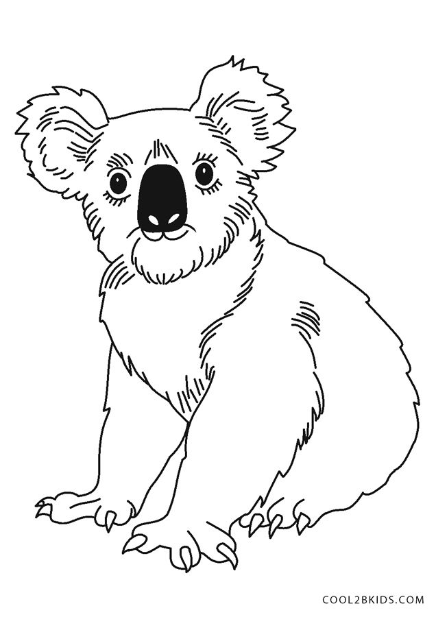 Free printable koala coloring pages for kids bear coloring pages coloring pages for kids super coloring pages