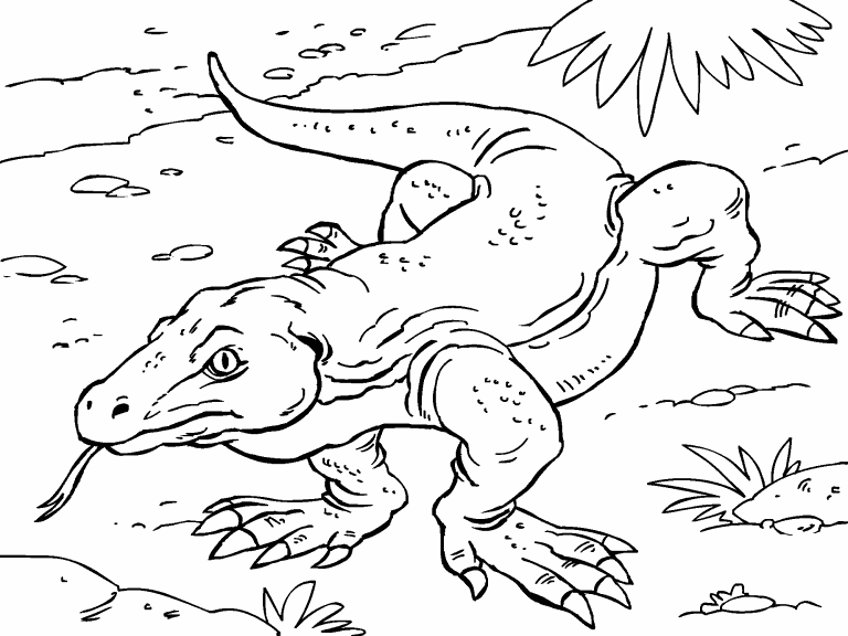 Komodo dragon coloring page