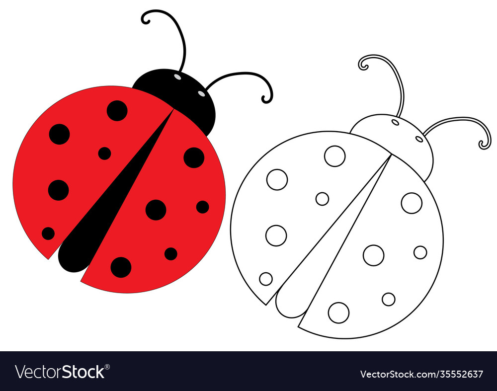 Ladybug coloring page game for kids royalty free vector