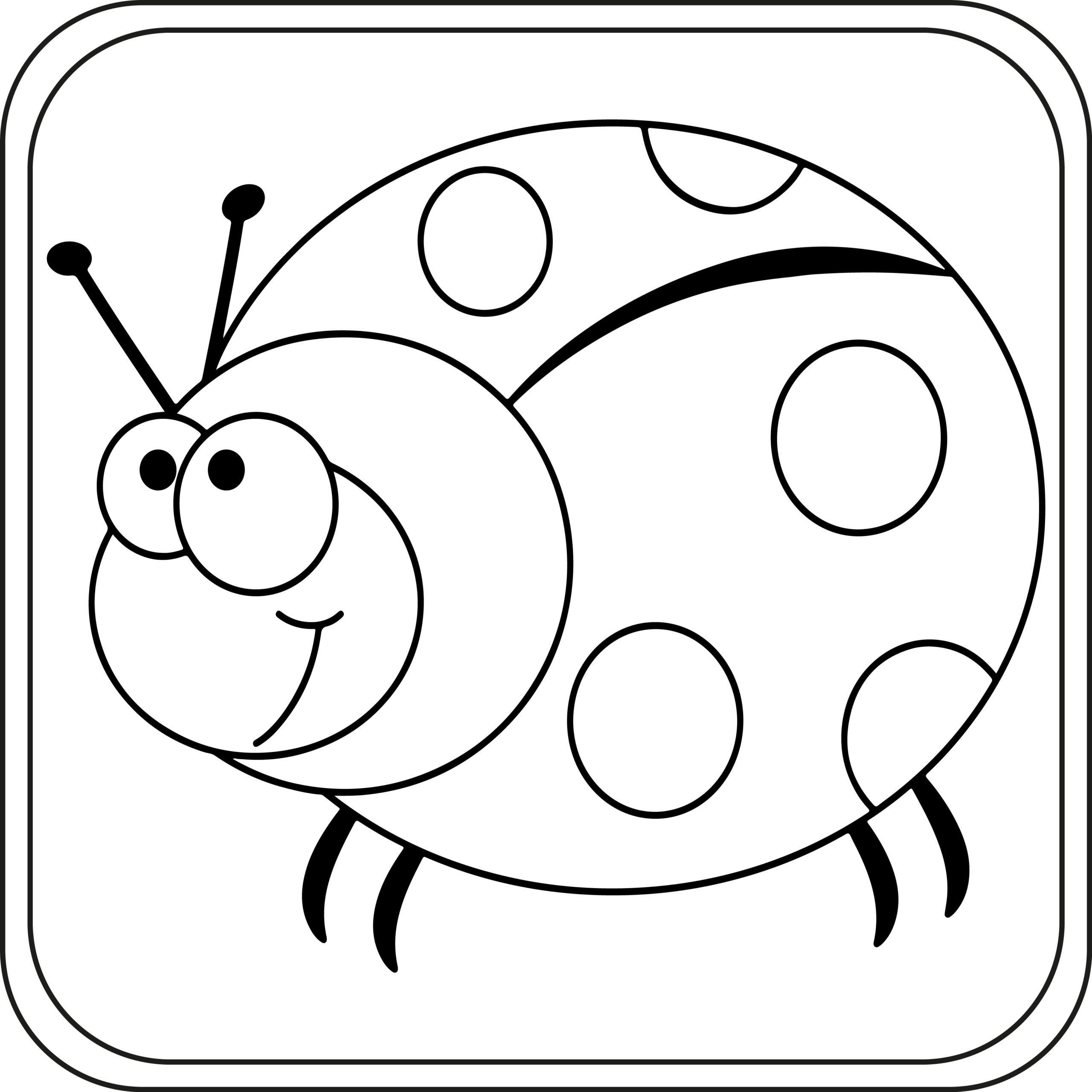 Ladybug coloring pages preschool kindergarten first grade made by teachers