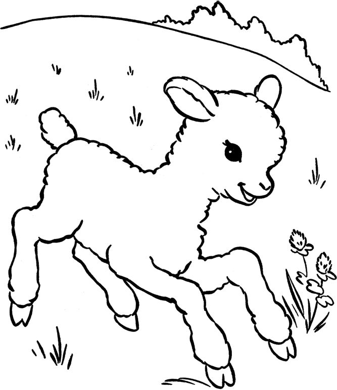 The lamb was running in the garden coloring pages coloring pages garden coloring pages coloring pages for kids