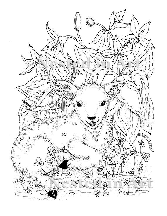 Punch needle pattern coloring book page baby lamb